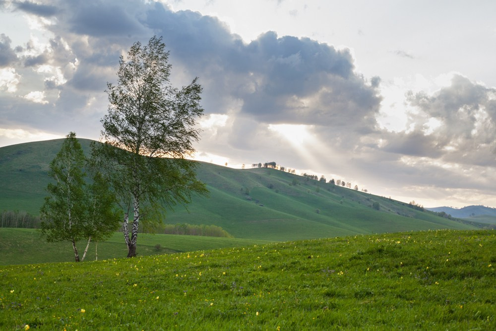 Фотокниги. Холсты. Печать
