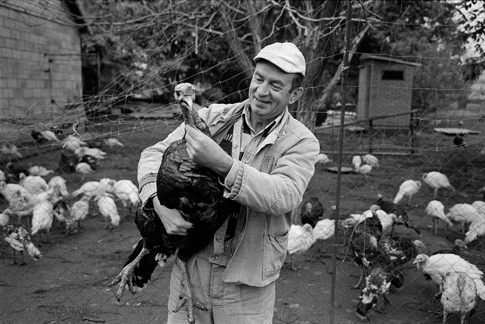 UKRAINE. Emil Gataullin