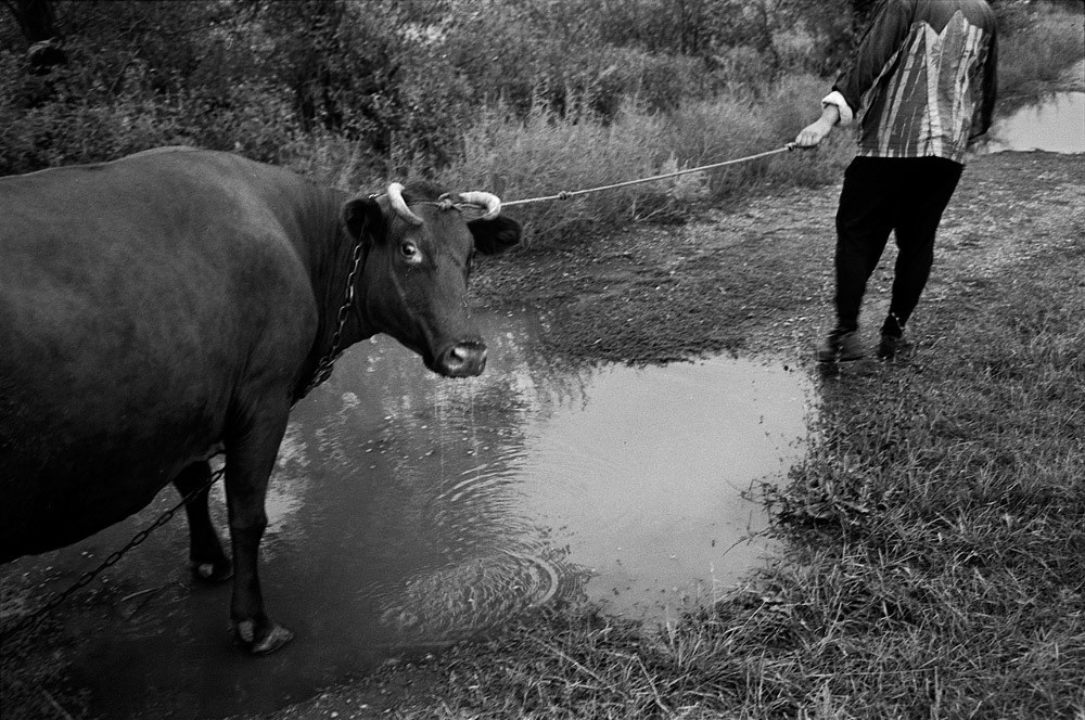 UKRAINE. Emil Gataullin