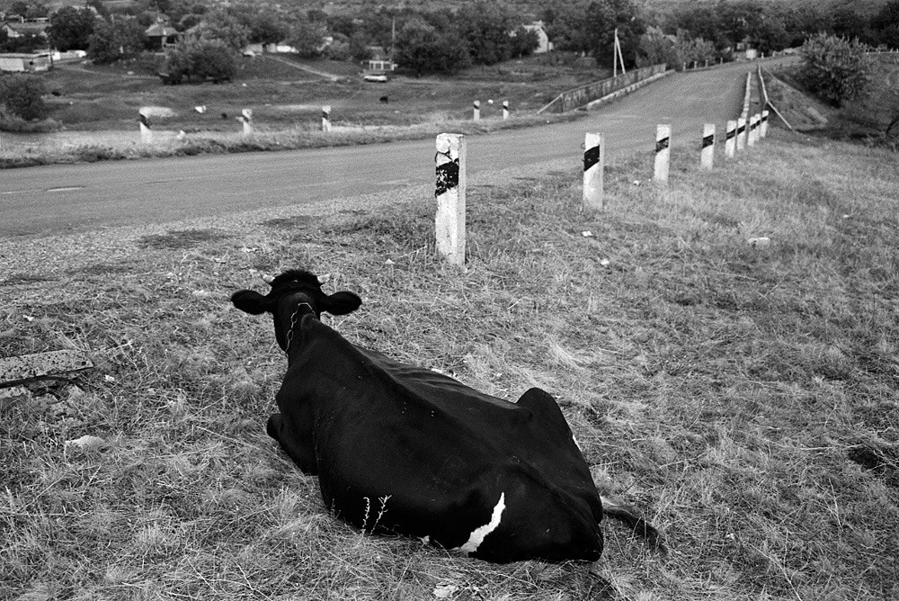 UKRAINE. Emil Gataullin
