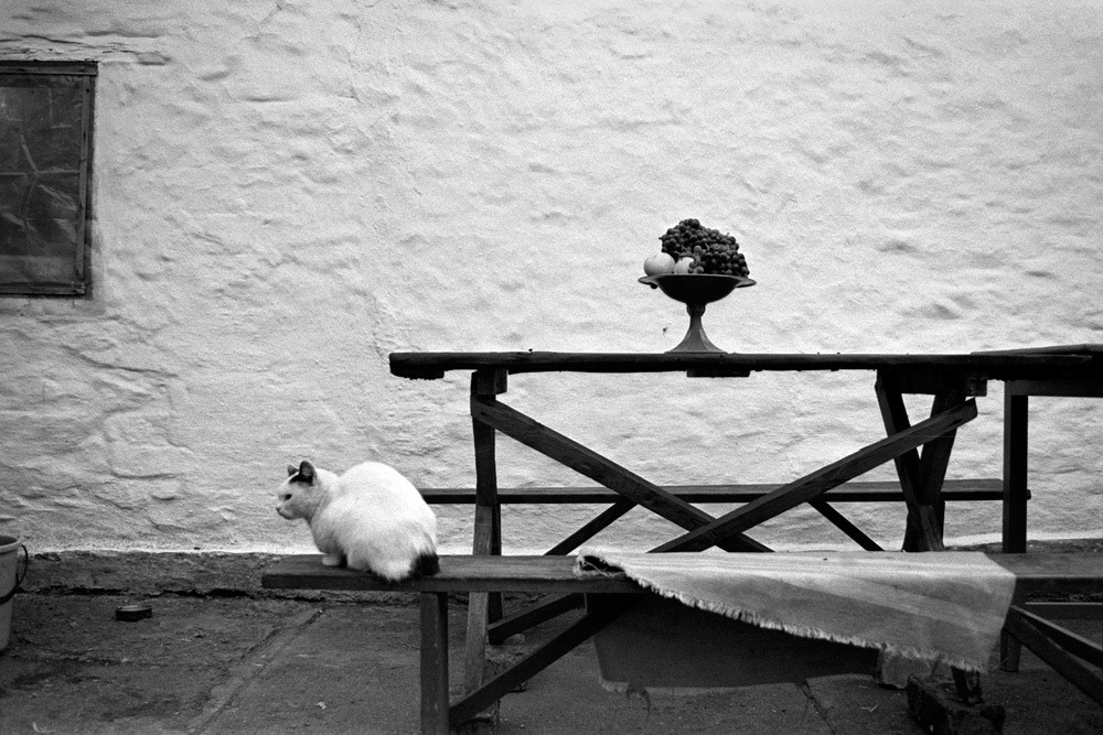 UKRAINE. Emil Gataullin