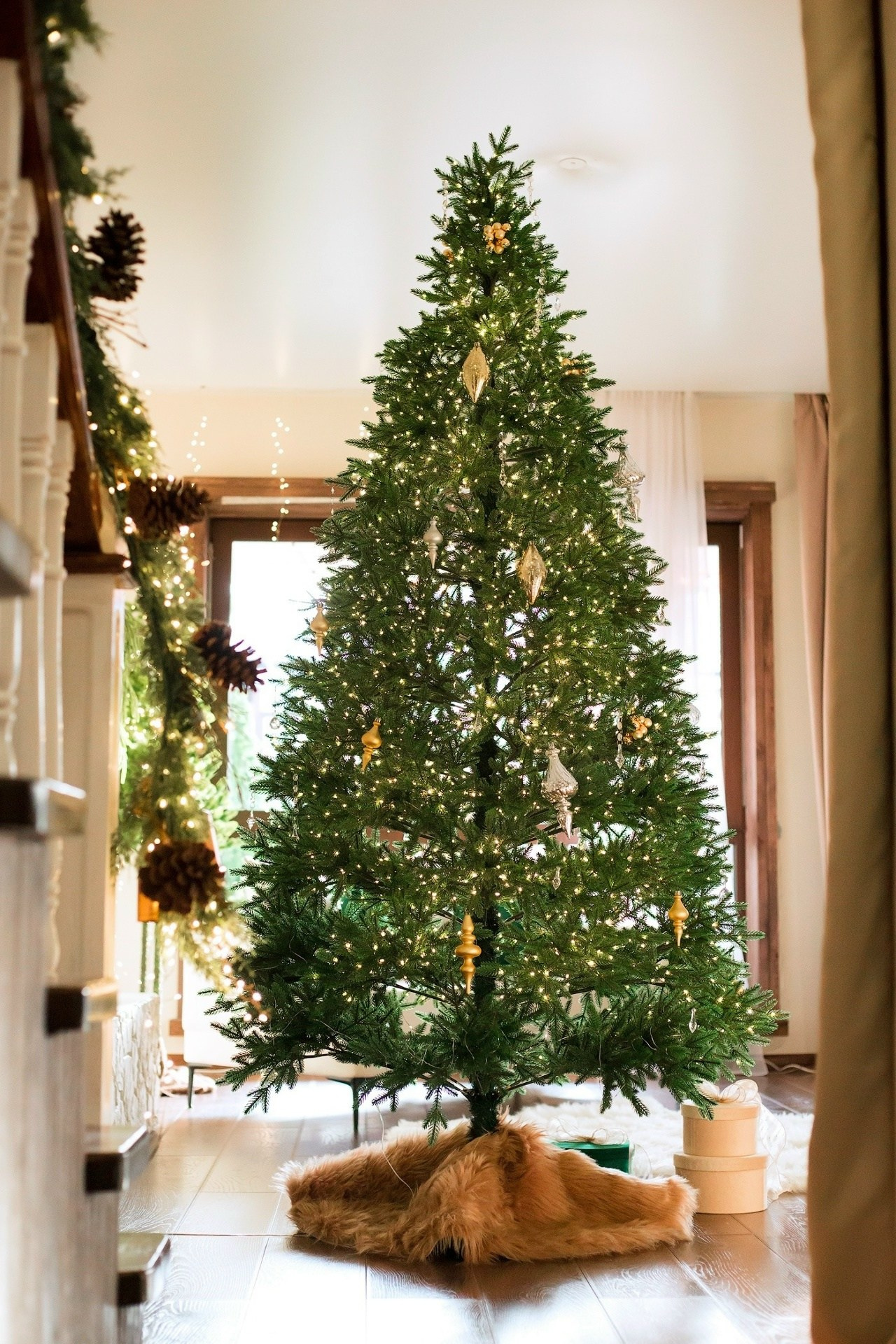 НГ студии зима 2025-2026