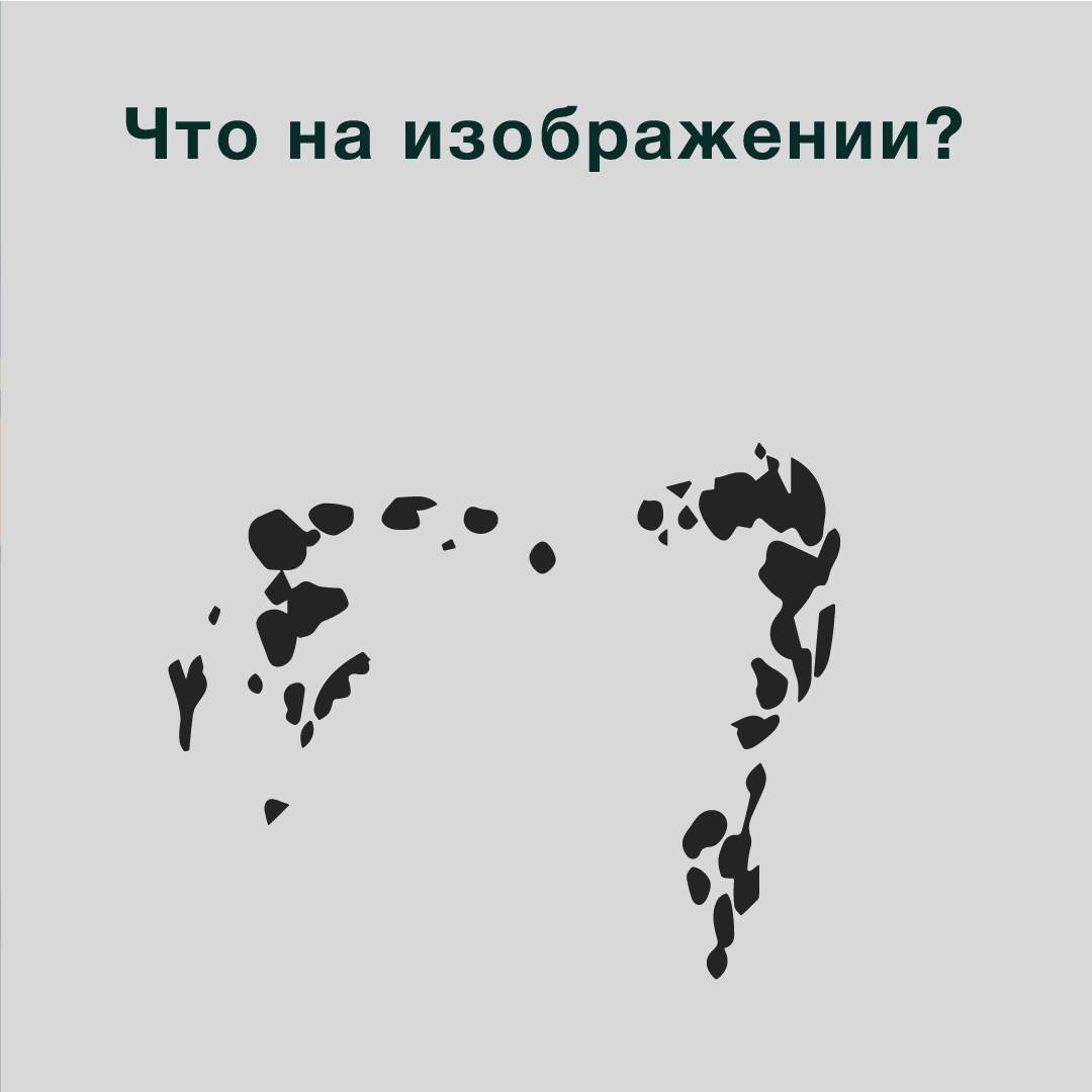 Как визуальная коммуникация влияет на бренд. Женский и контент фотограф Люба Пунанцева. Северодвинск. Архангельск