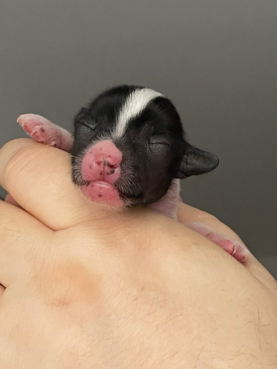 6-й день. Poale Ell Deniz