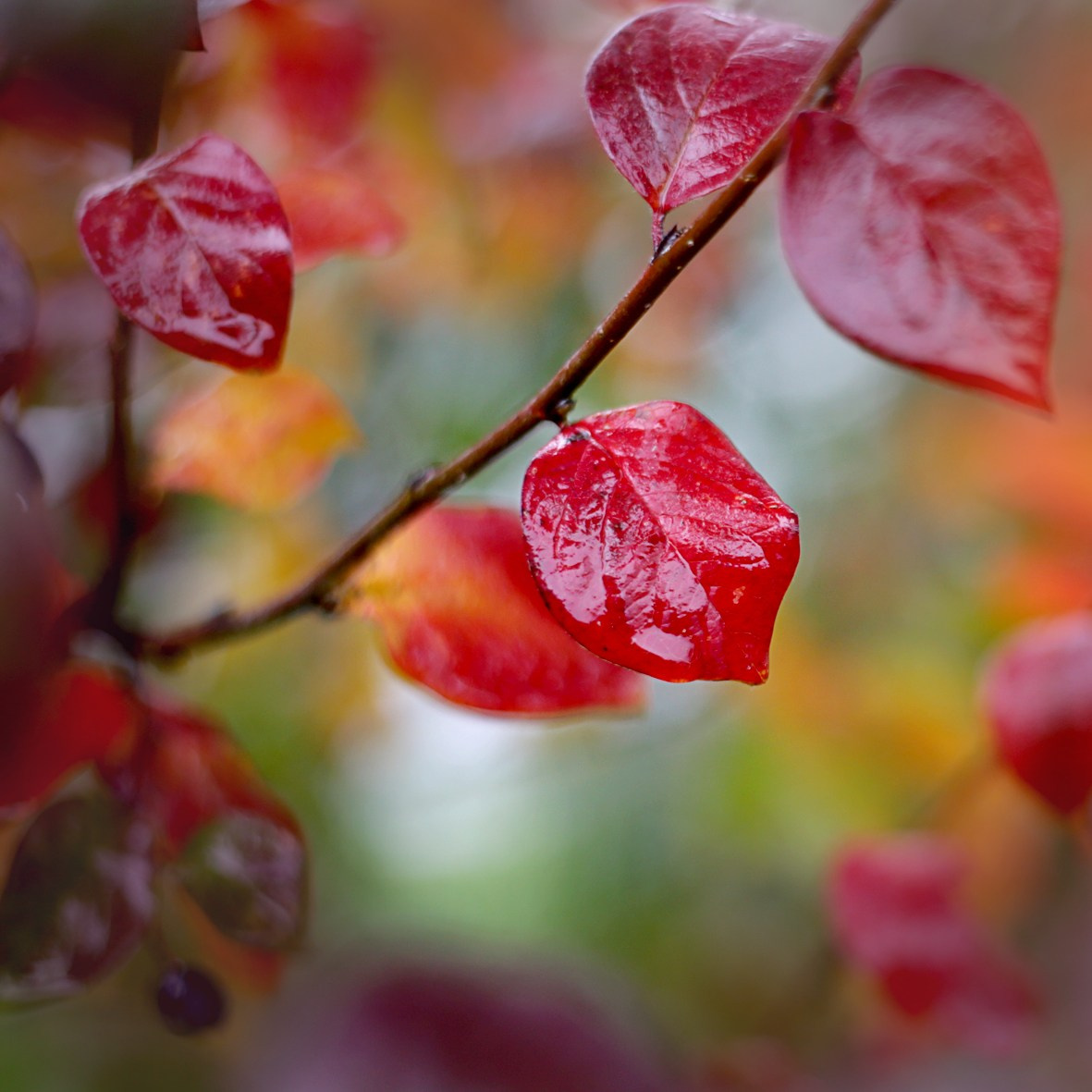Просто красиво. Детский и семейный фотограф Барнаул Татьяна Губанова