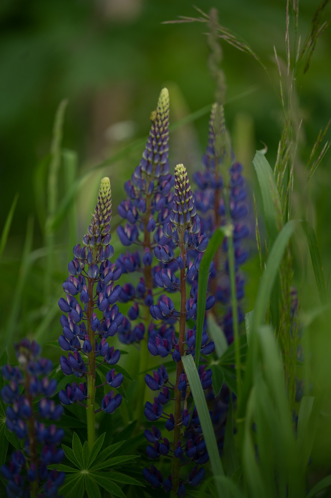 Конюшня. Мир живой фотографии о Вас и для Вас