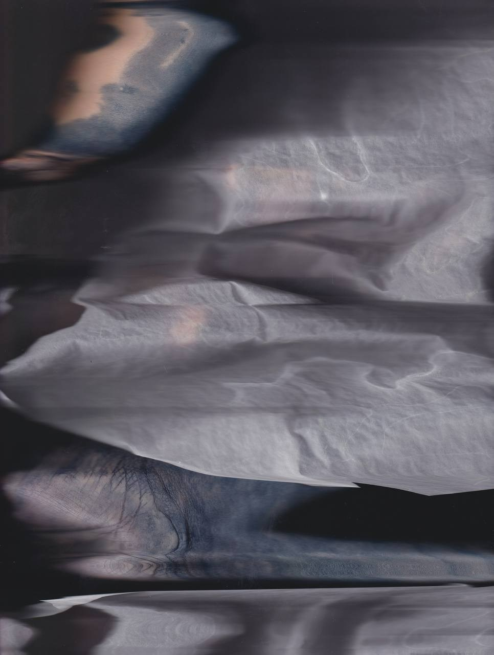 SEDIMENTS AND FOSSILS. Xexexena.ru