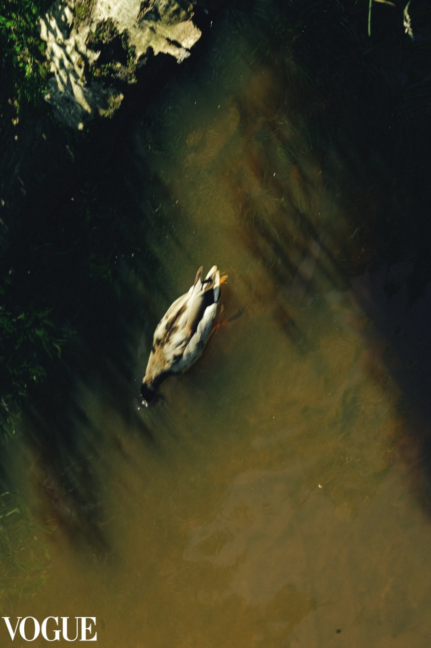 Vogue & iconic. Фотохудожник в СПб