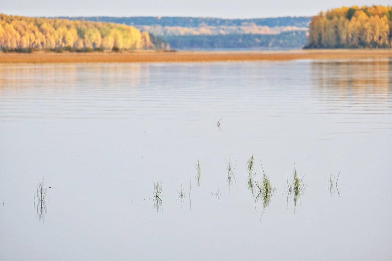 Архангельская область. Фотограф Евгений Андреев