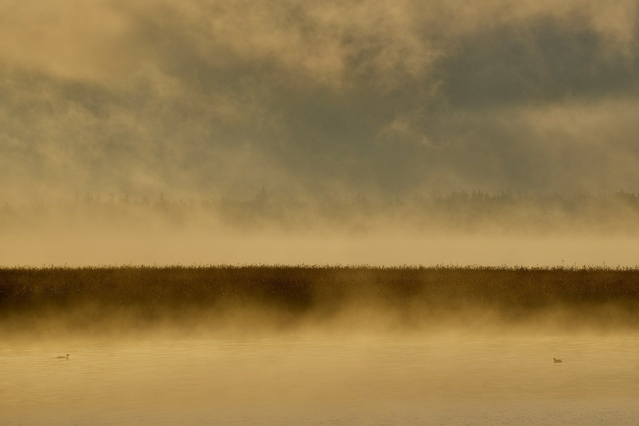 Архангельская область. Фотограф Евгений Андреев