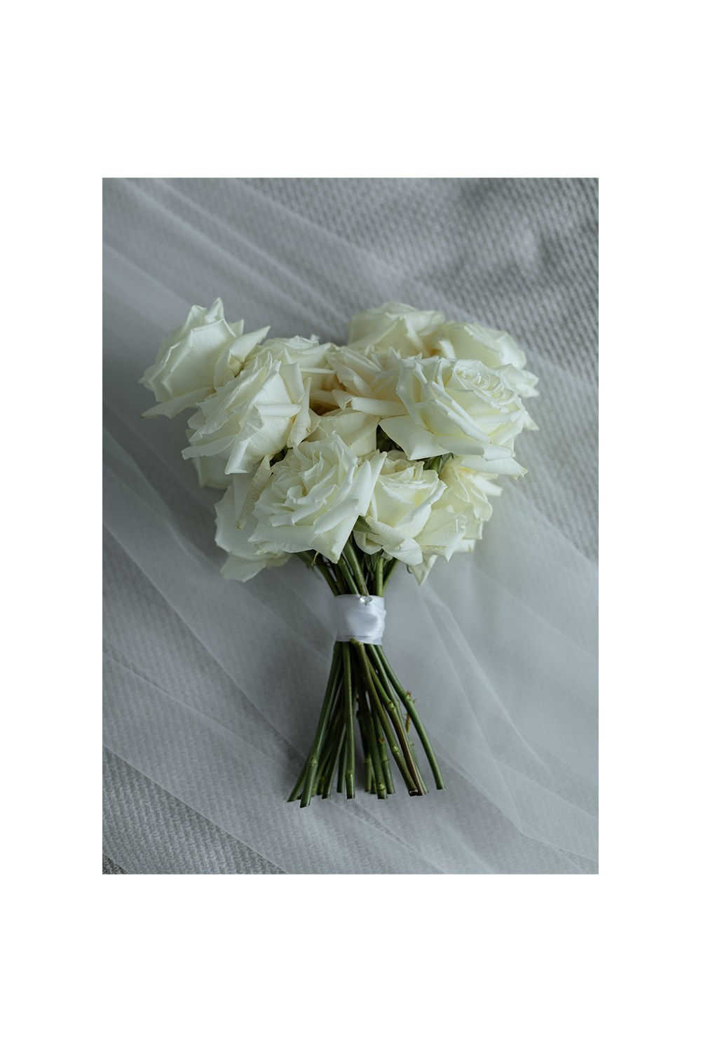 Алина | Максим