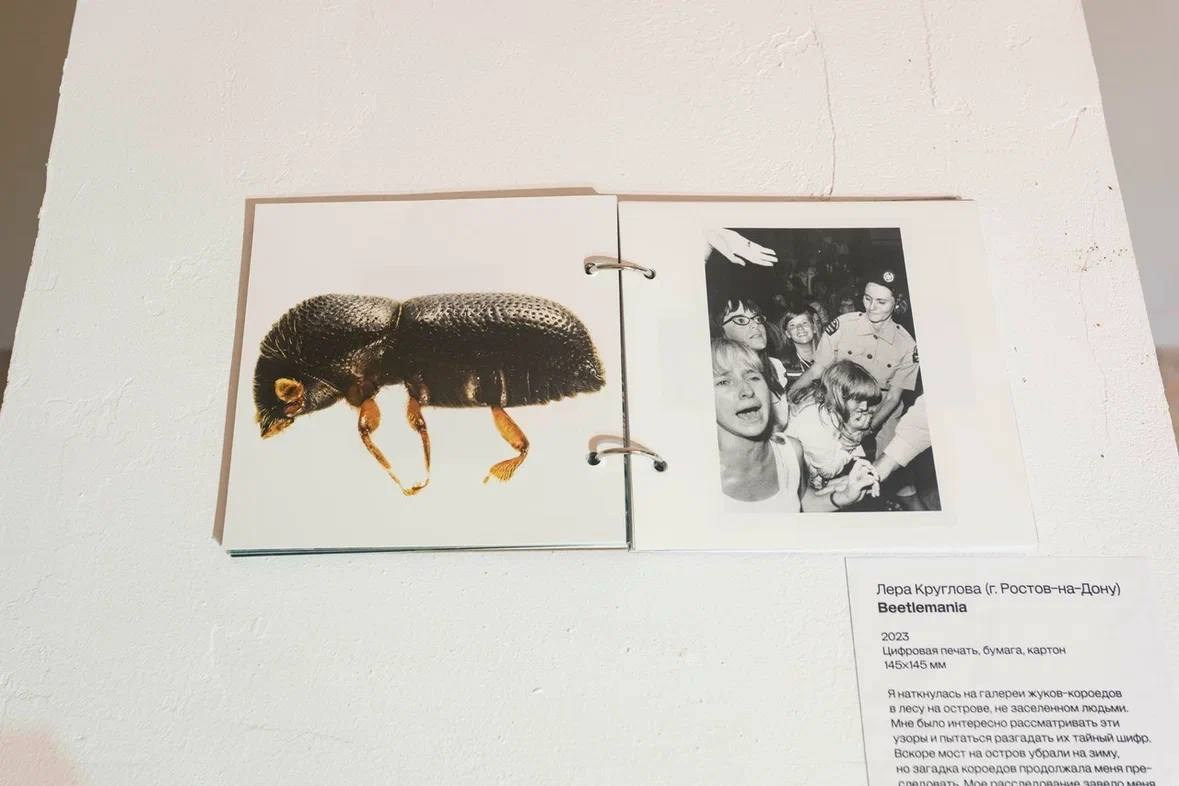 ЛЕС-САД, групповая выставка, 22.03.2024-19.05.2024, Барн, Калининград. Лера Круглова