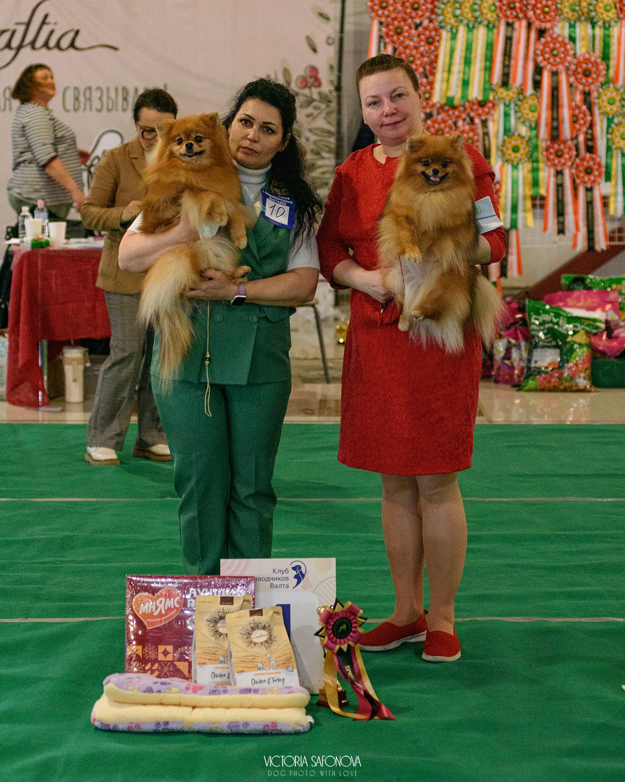 23 марта 2024 Хабаровск. Фотограф анималист Благовещенск. Сафонова Виктория