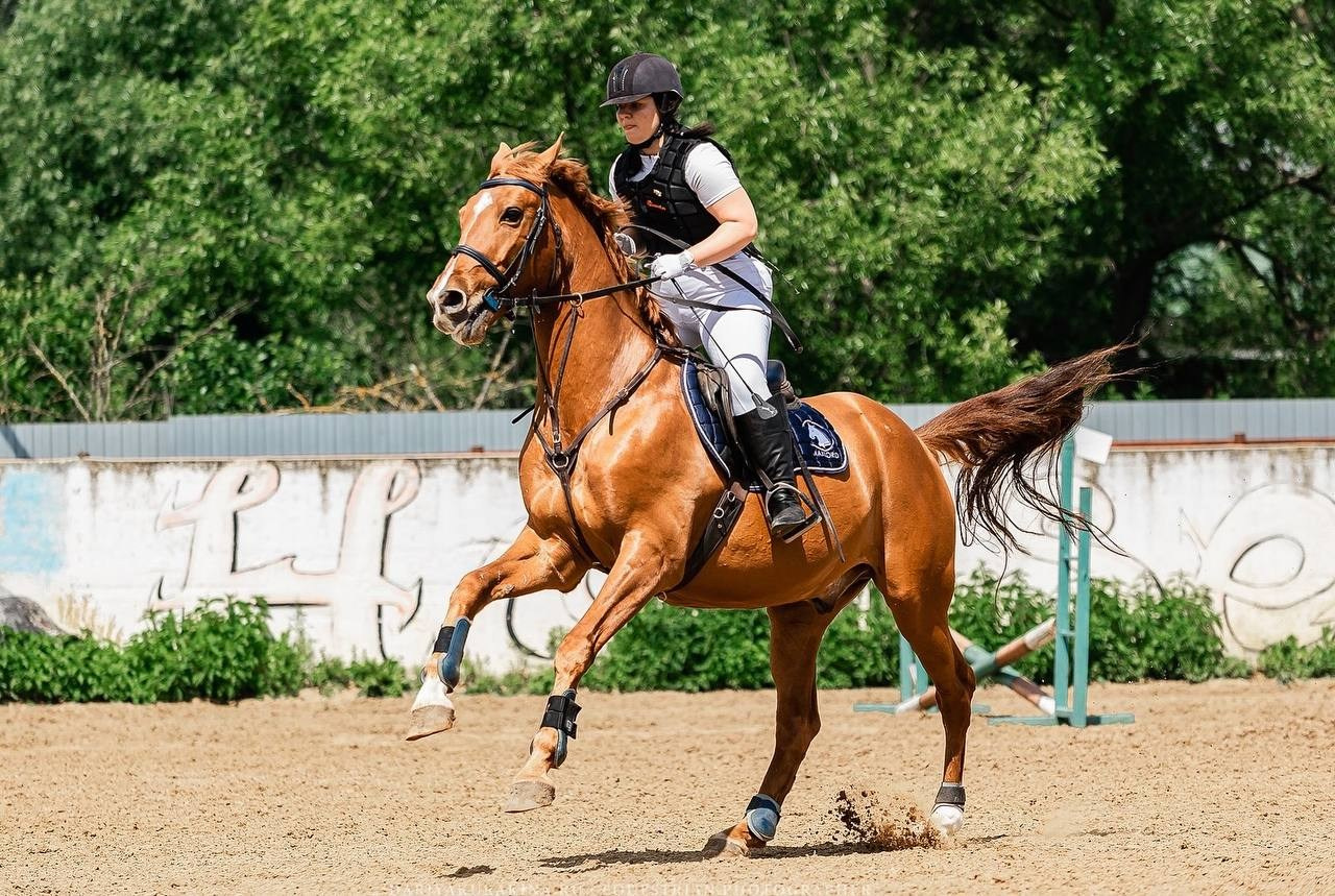 КОНКУР в КСК «Black Horse», 1 этап. Конный фотограф Куракина Дарья • Фотосессии с лошадьми