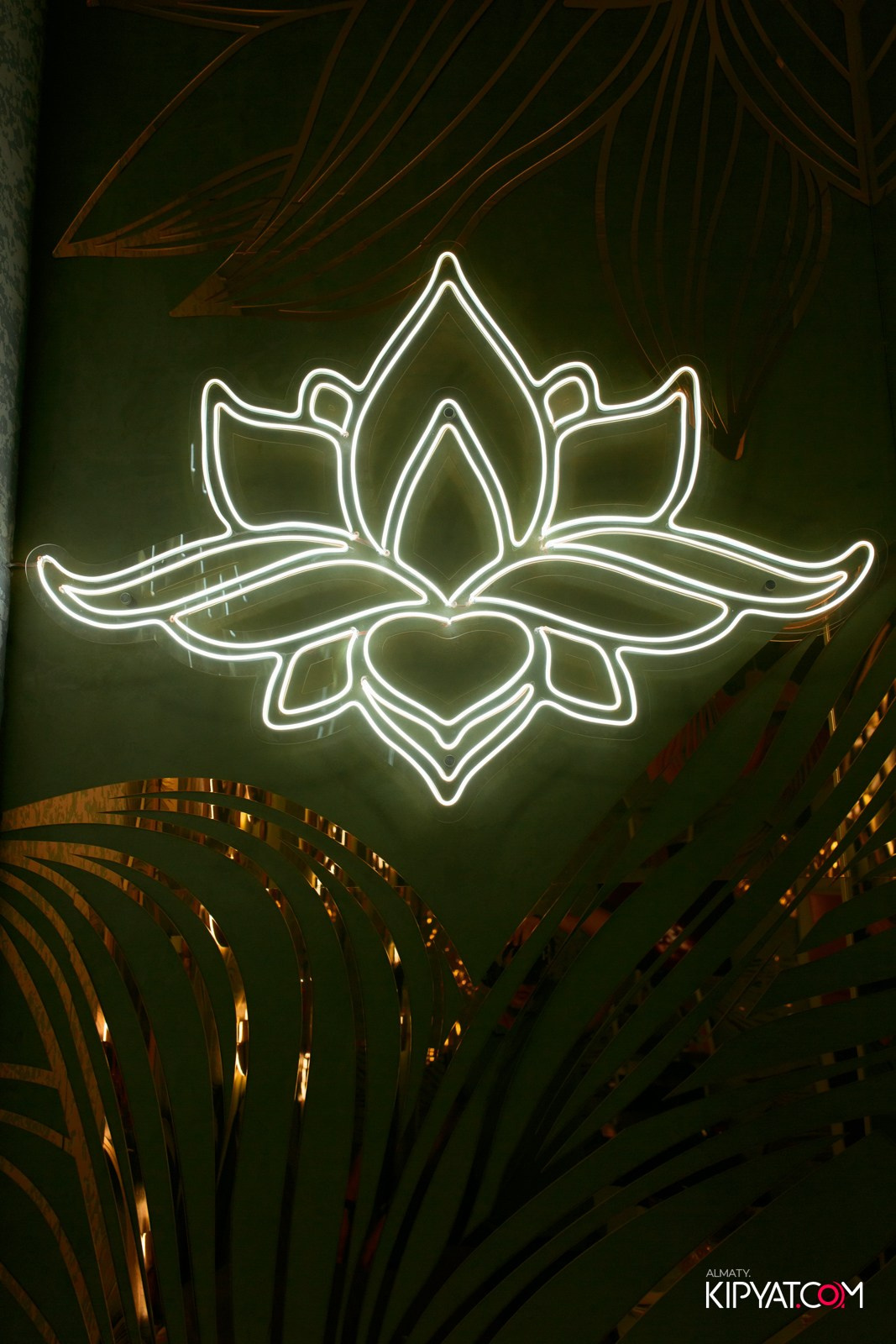 УХО И МЕДВЕДЬ НА КУРМАНГАЗЫ. КИПЯТКОМ АЛМАТЫ!