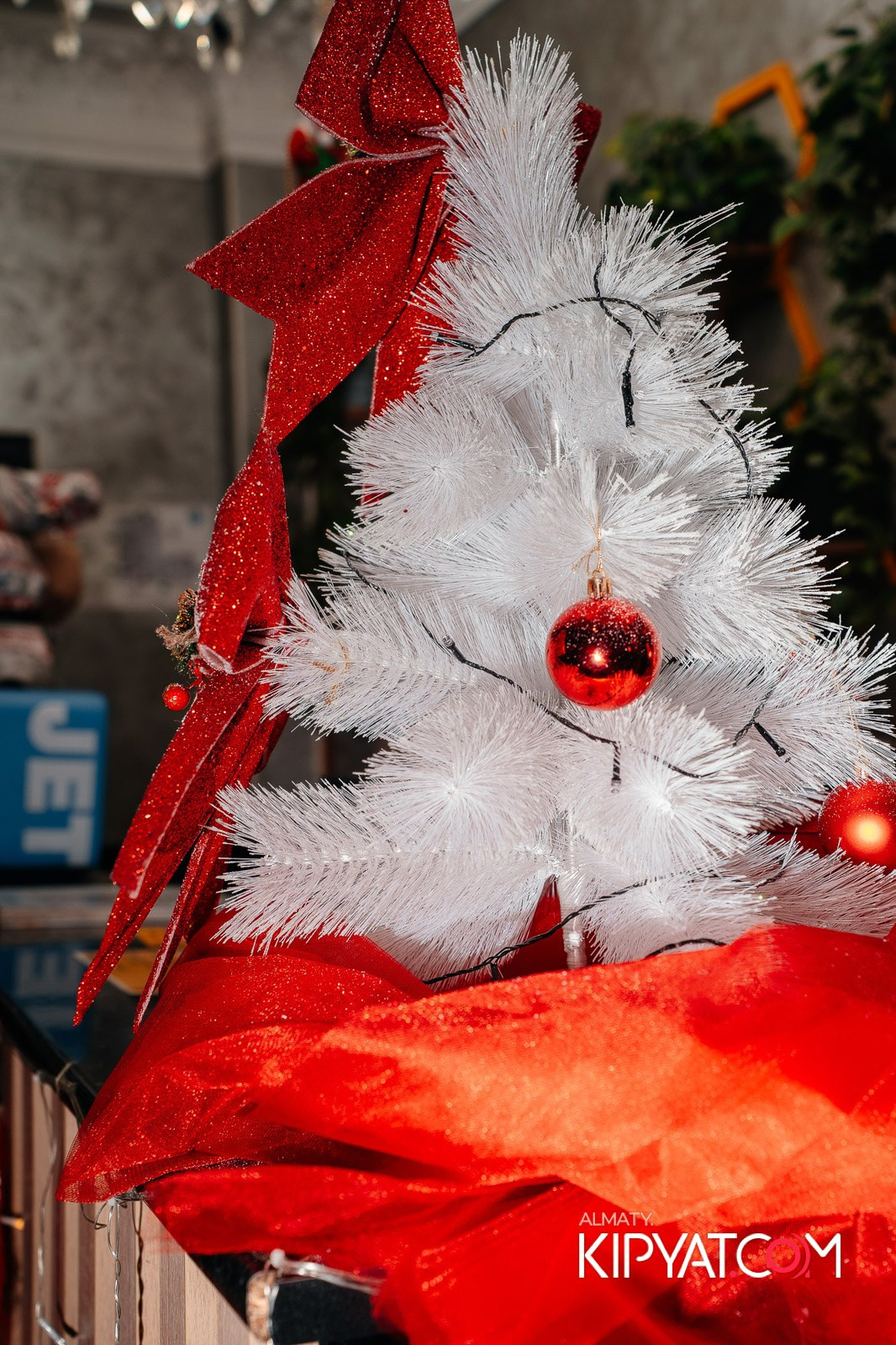 УХО И МЕДВЕДЬ НА КУРМАНГАЗЫ. КИПЯТКОМ АЛМАТЫ!