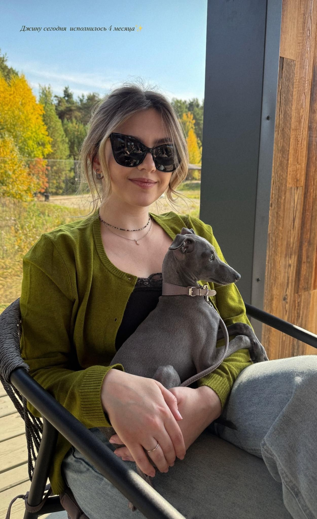 Профессиональный питомник левреток РКФ/FCI ASTI SAPPHIRE 💎 Сочи|Санкт-Петербург