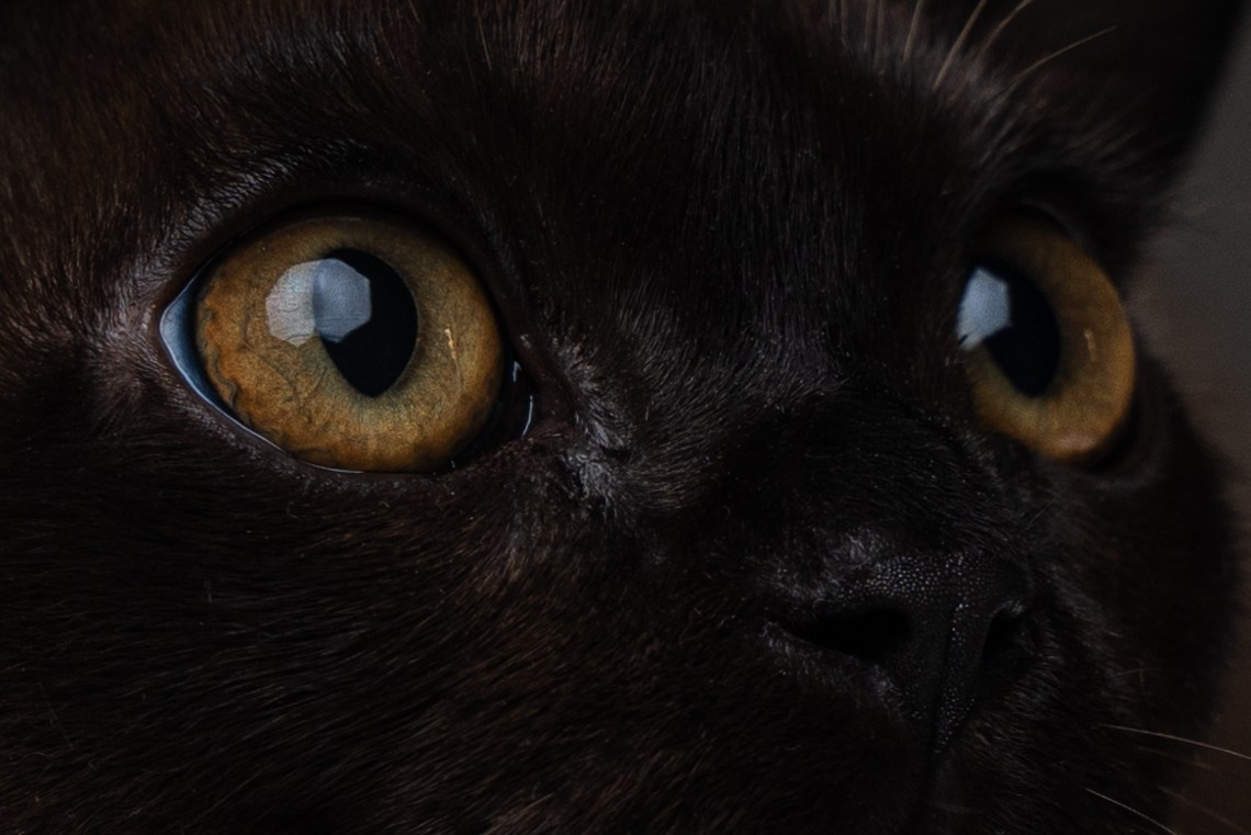 QUEST. ЮRA. Делаю красиво