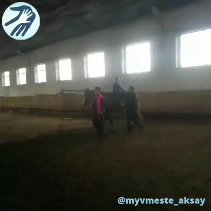 Мечты сбываются: адаптивная верховая езда стала реальностью для детей Аксайского района!