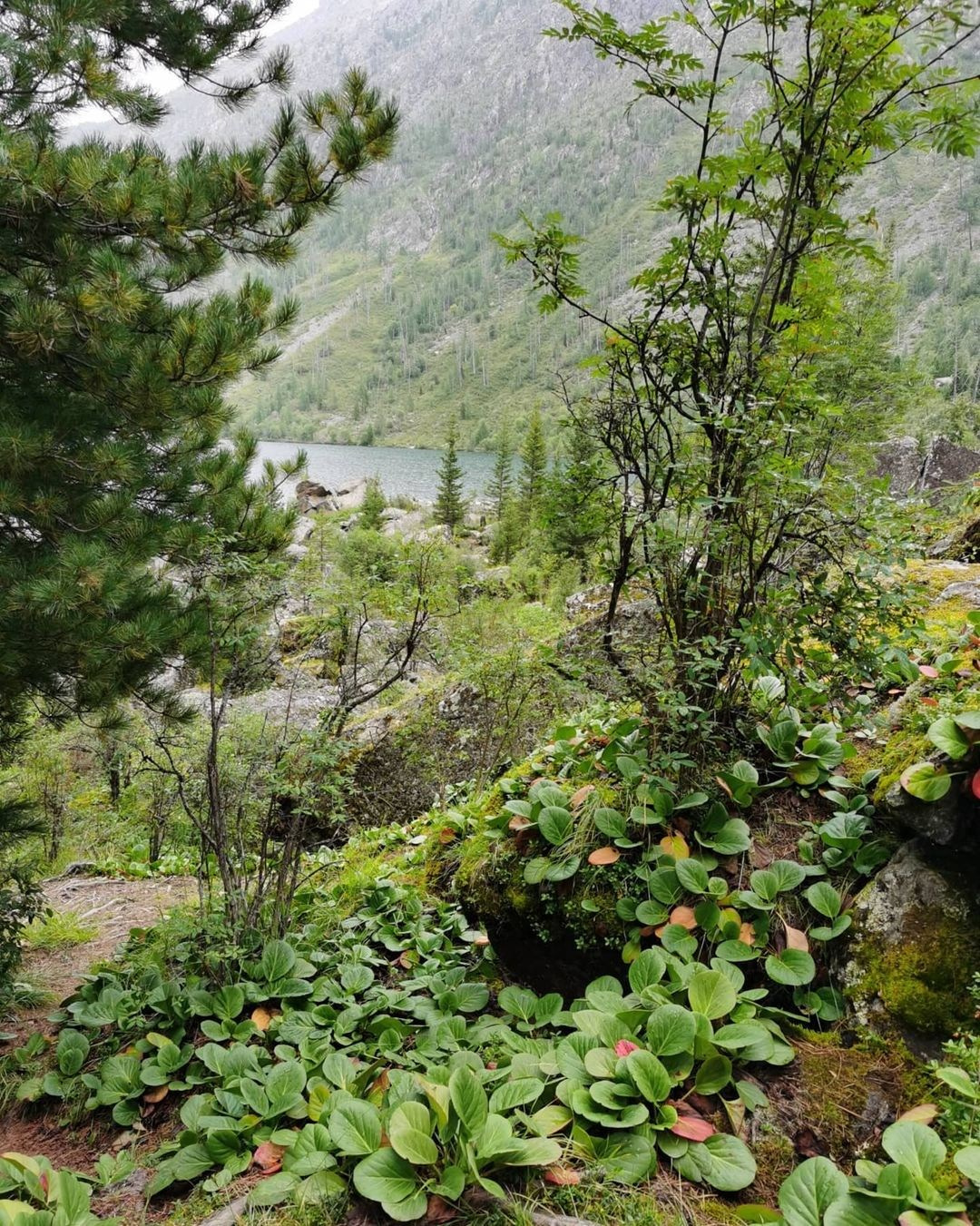 Anka`s Instagram. Заставка