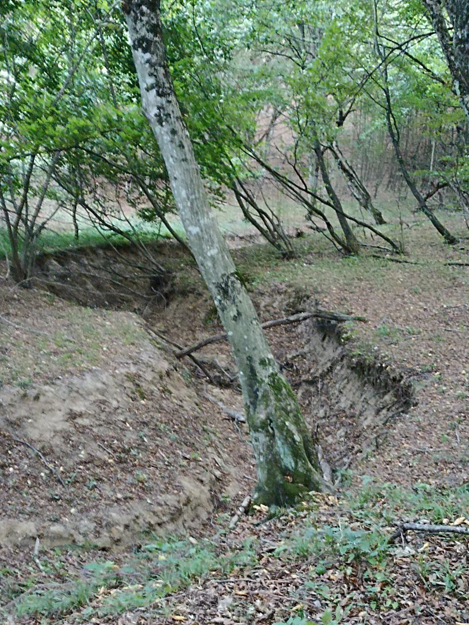 Горячий Ключ (2024-09-20). Собор Отрасли