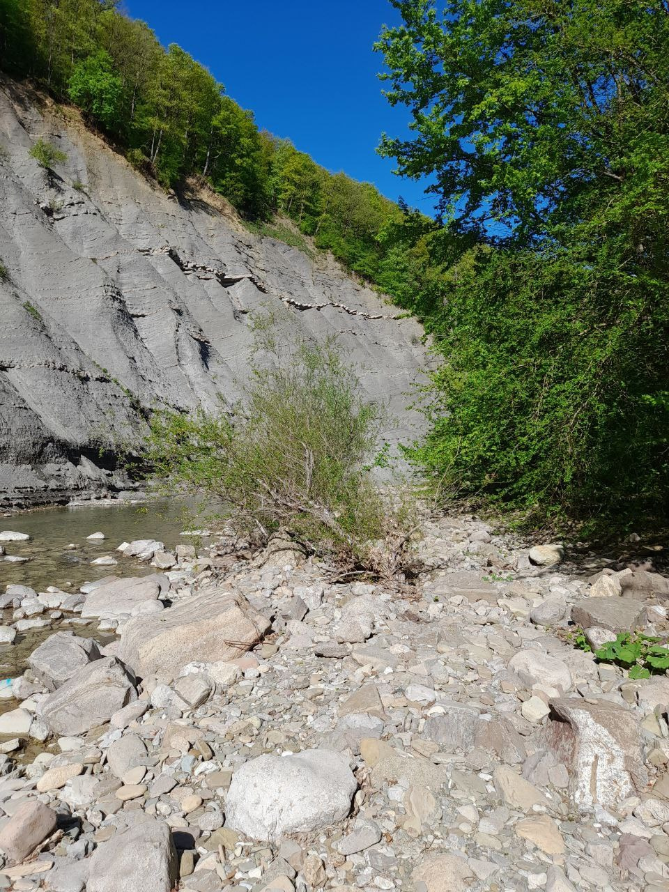 Горы 2025. Собор Отрасли