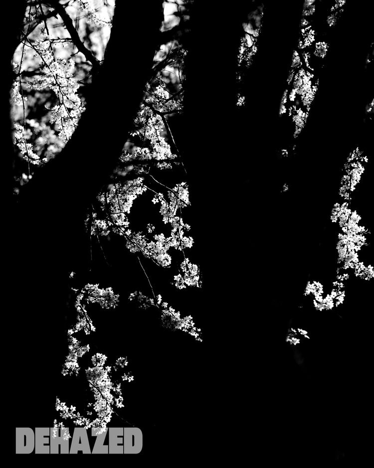 DEHAZED. Фотографии Лены Соколовой