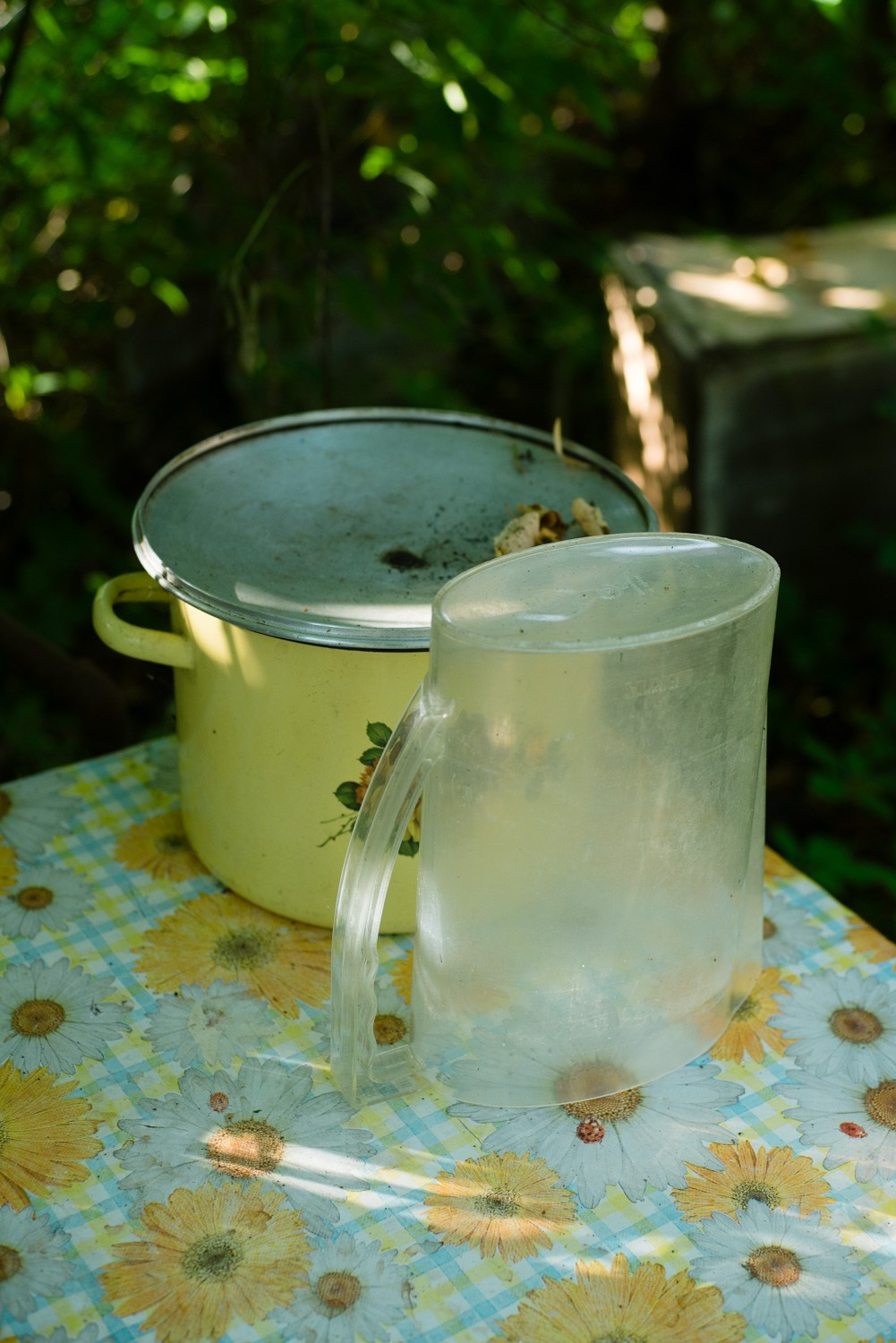 Summer Recurrences. Пётр Антонов