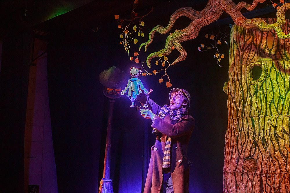 Сказки старого кота. Детский и семейный фотограф, фотограф мероприятий Нижний Новгород