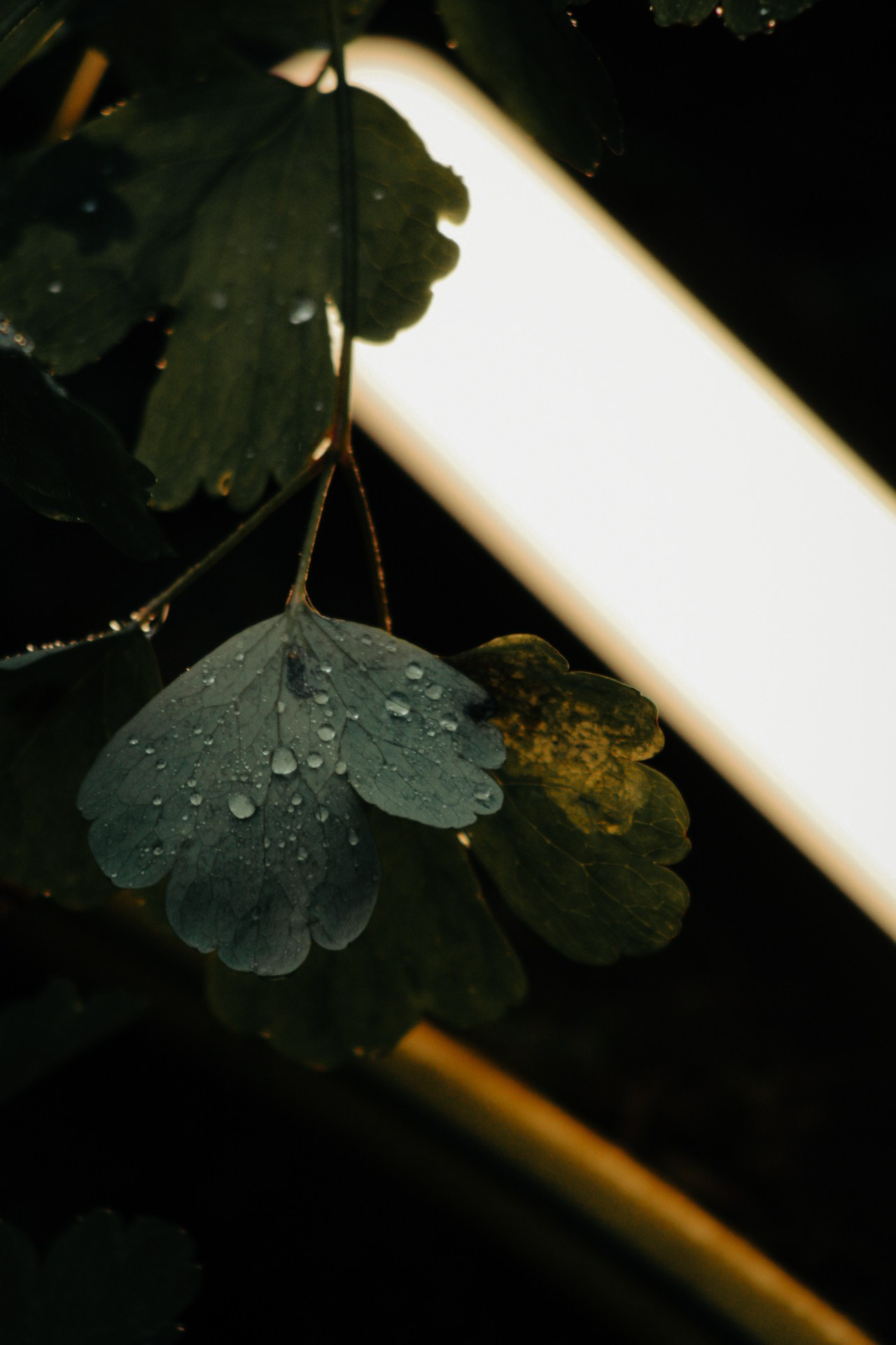 Цвета. Dmitriy [KCCC] is a pretty cool photographer