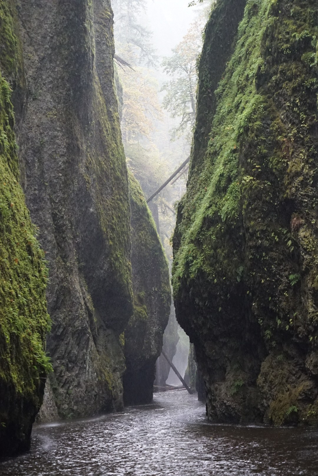 Природа. Василий Буйлов|Vasilii Builov