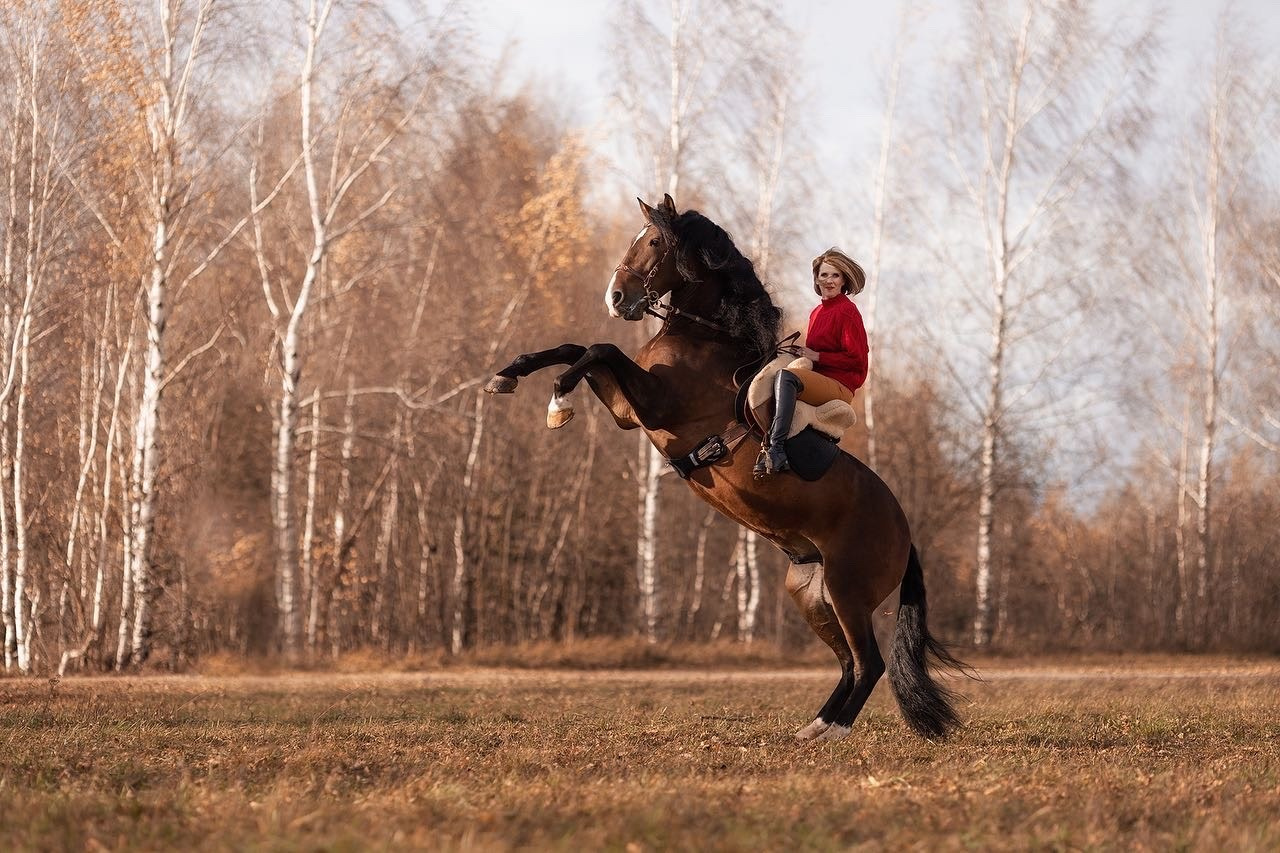Фотосессия с лошадью в поле. Фотосессии с лошадьми в Москве от Конный фотографа Кутейниковой Светланы