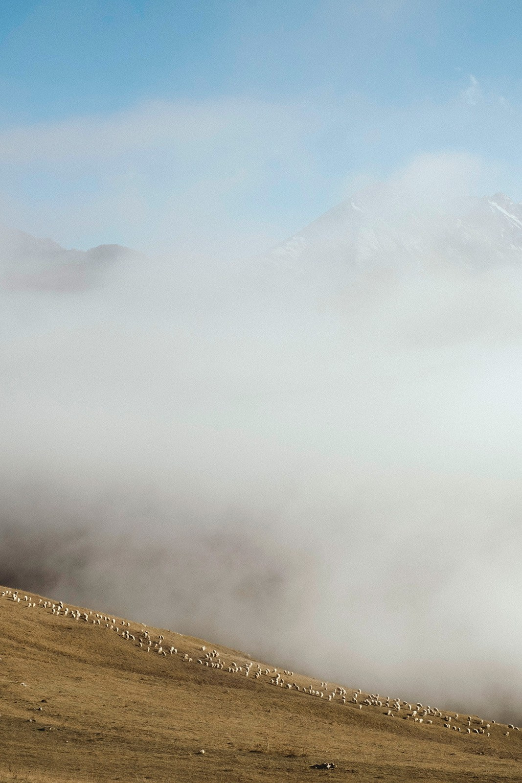 Prints. North Ossetia
