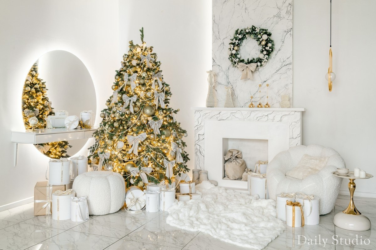 Новогодние фотосессии в фотостудиях Питера