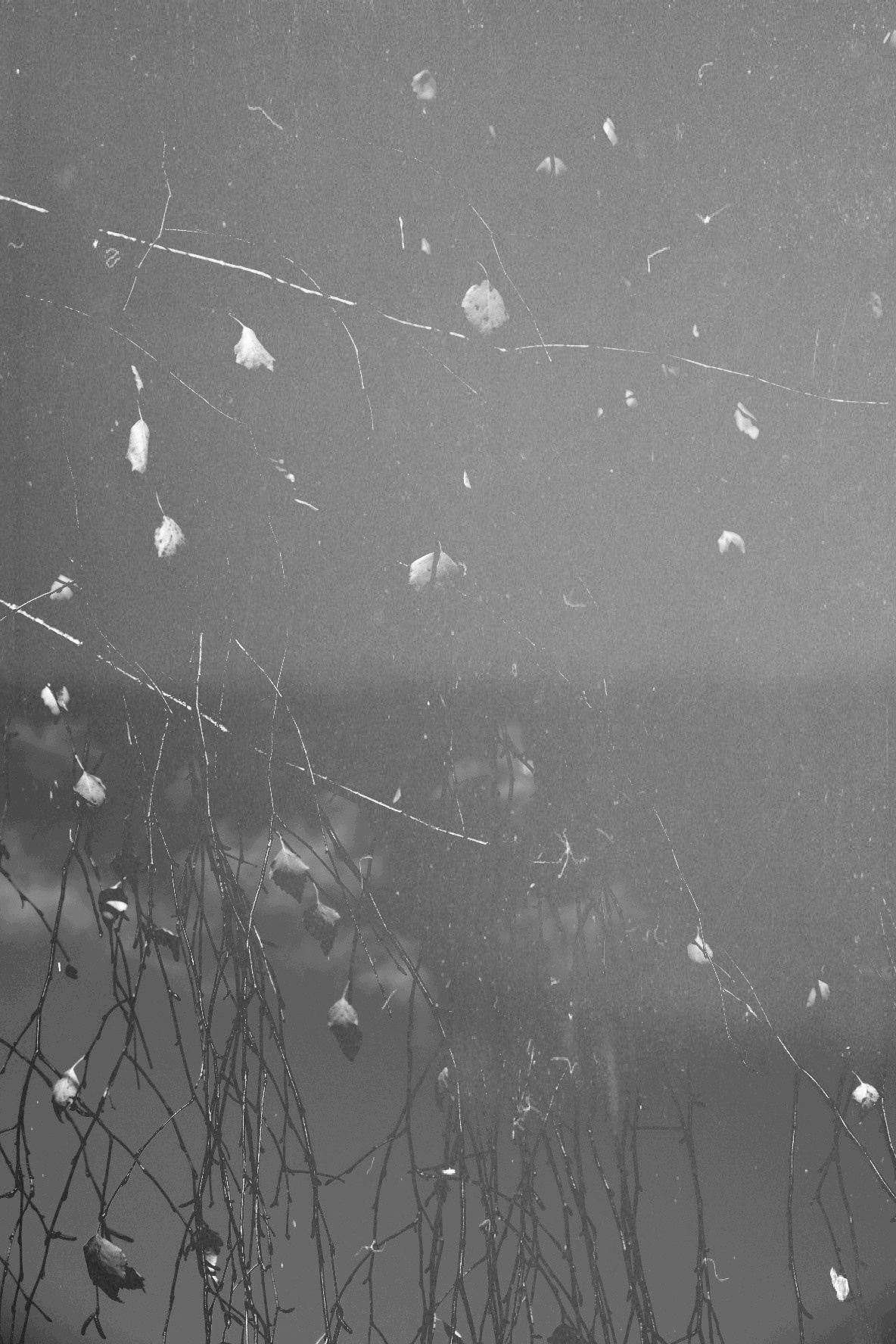 Иллюстрации повседневности. Brjankin.com