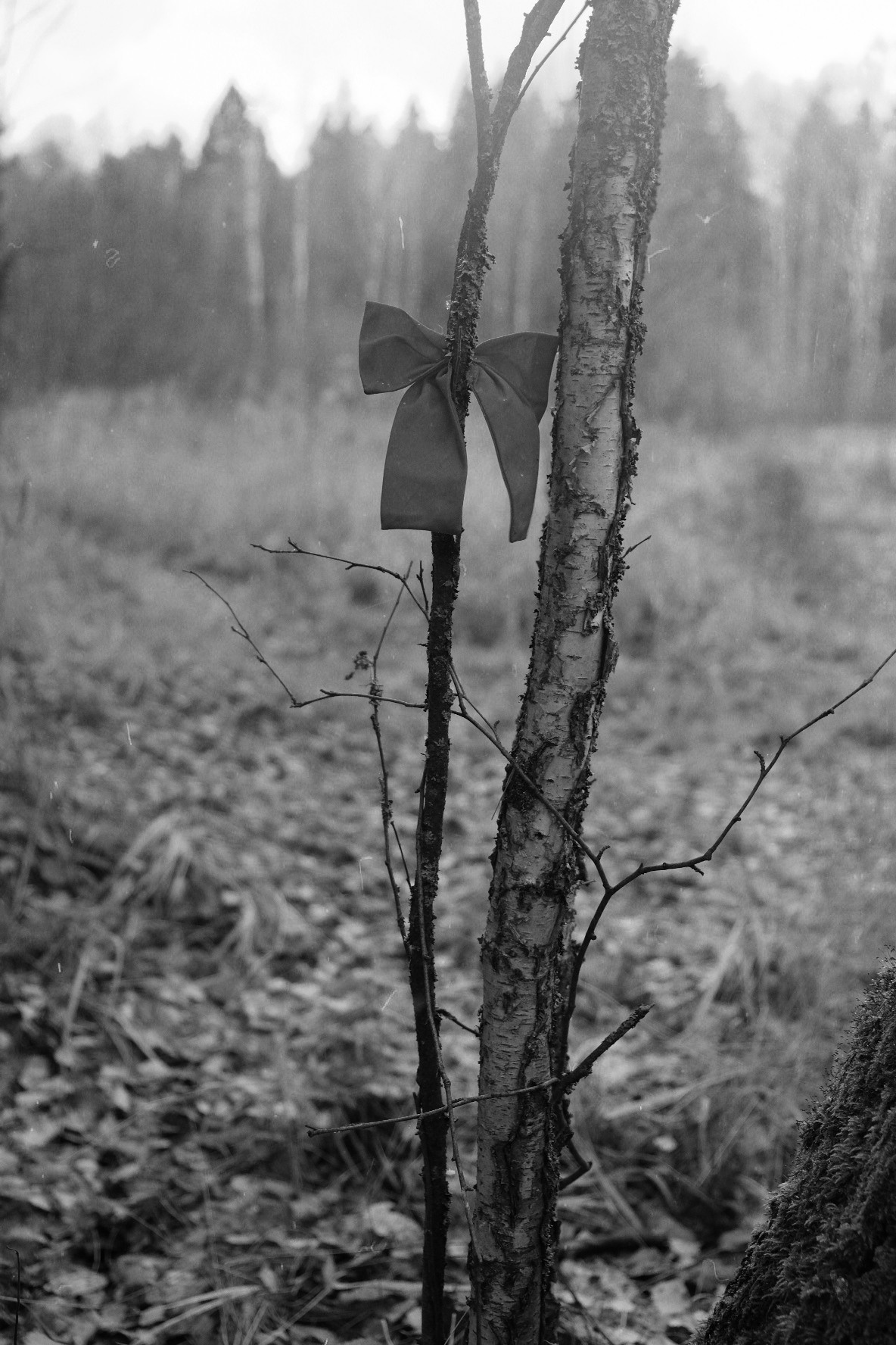 Иллюстрации повседневности. Brjankin.com