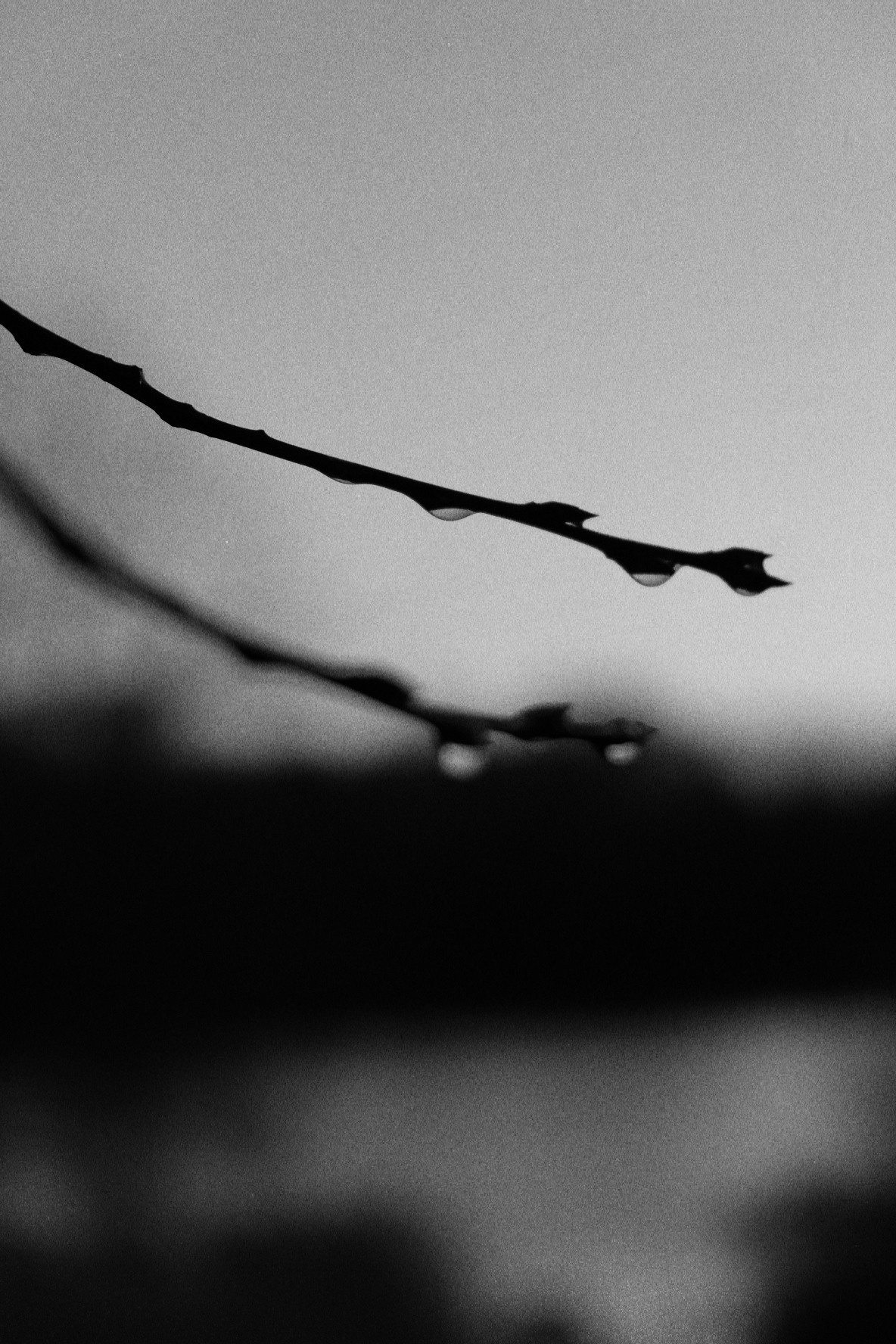 Иллюстрации повседневности. Brjankin.com