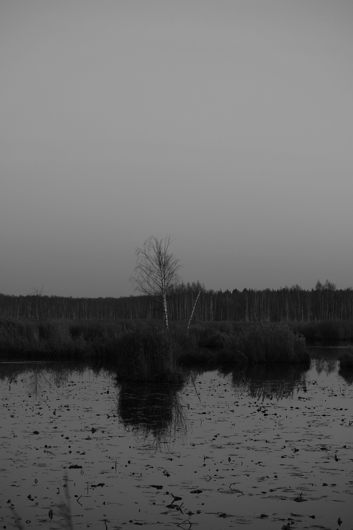 Иллюстрации повседневности. Brjankin.com