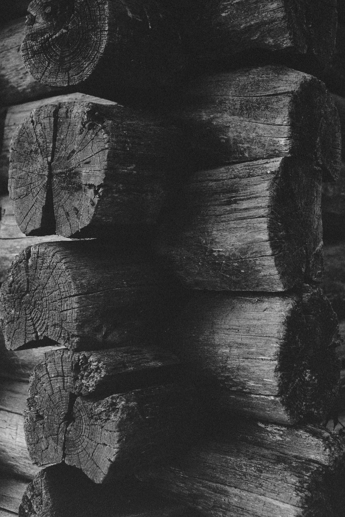 Иллюстрации повседневности. Brjankin.com