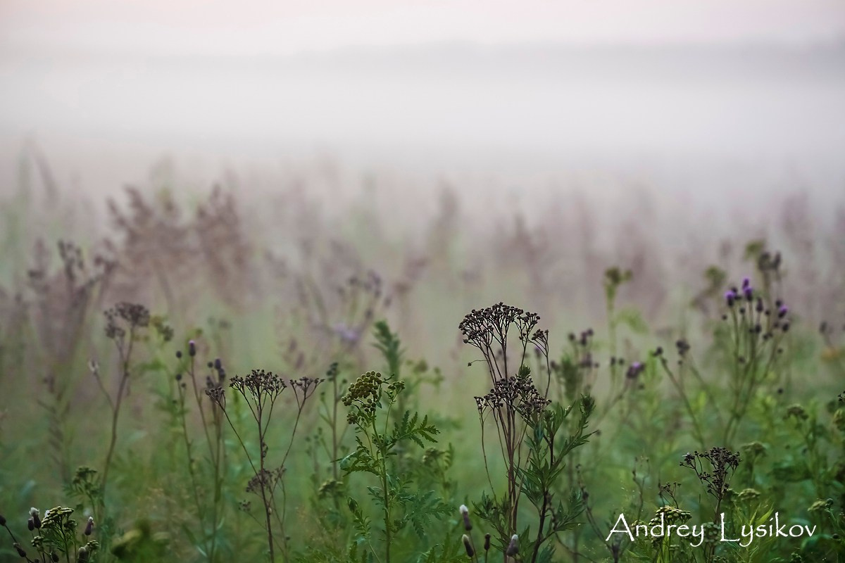 Природные пейзажи. Ландшафтный фотограф Андрей Лысиков, Москва