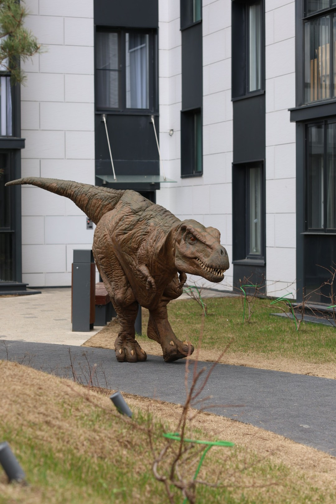 Косте 6 лет Дино пати. Семейный фотограф Москва детский фотограф Одинцово фотосессия беременности Рогачева Екатерина