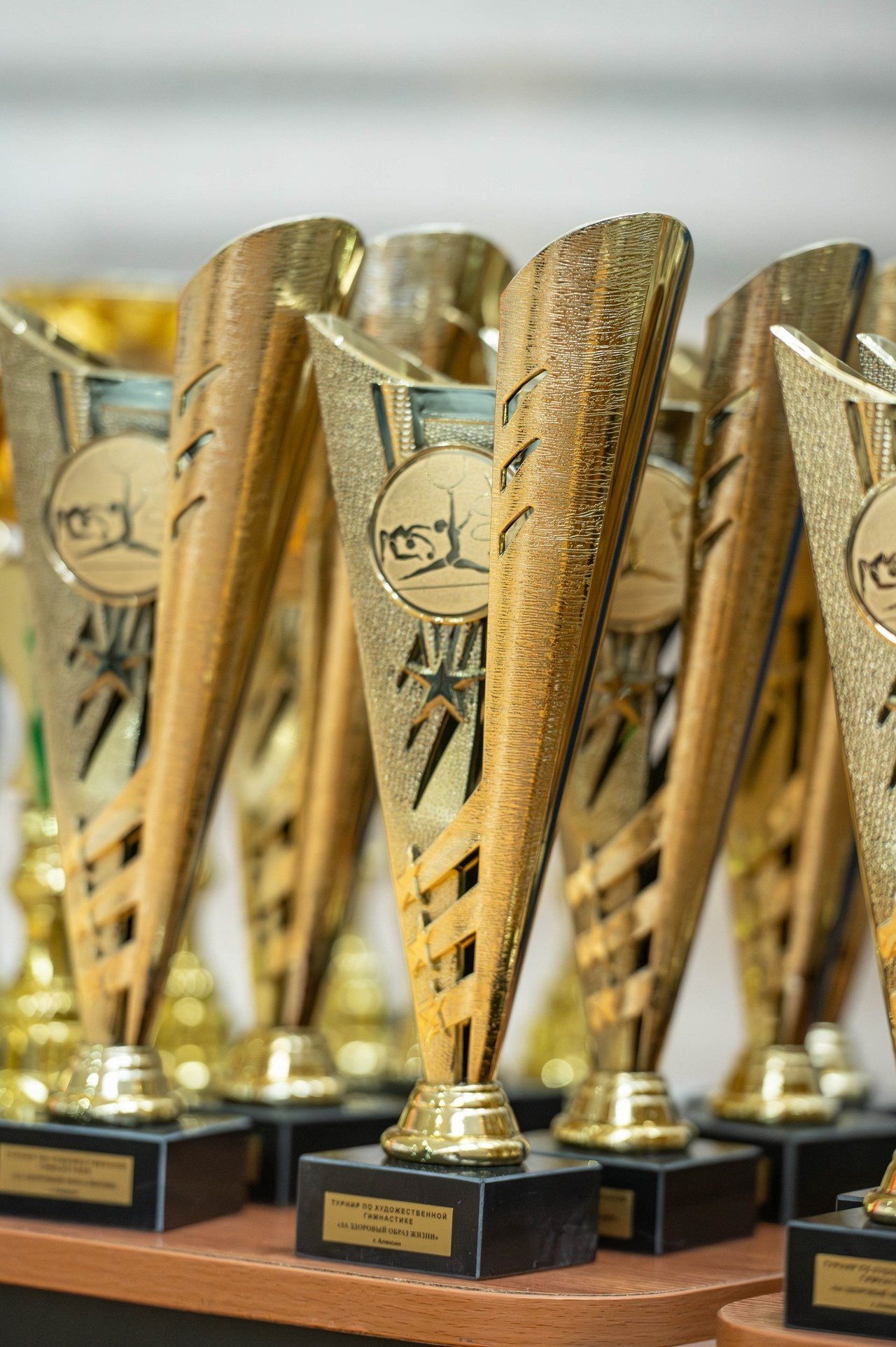 Спортивный фотограф Тула. Спортивный фотограф в Туле и Тульской области. Файсханова Фото Спорт