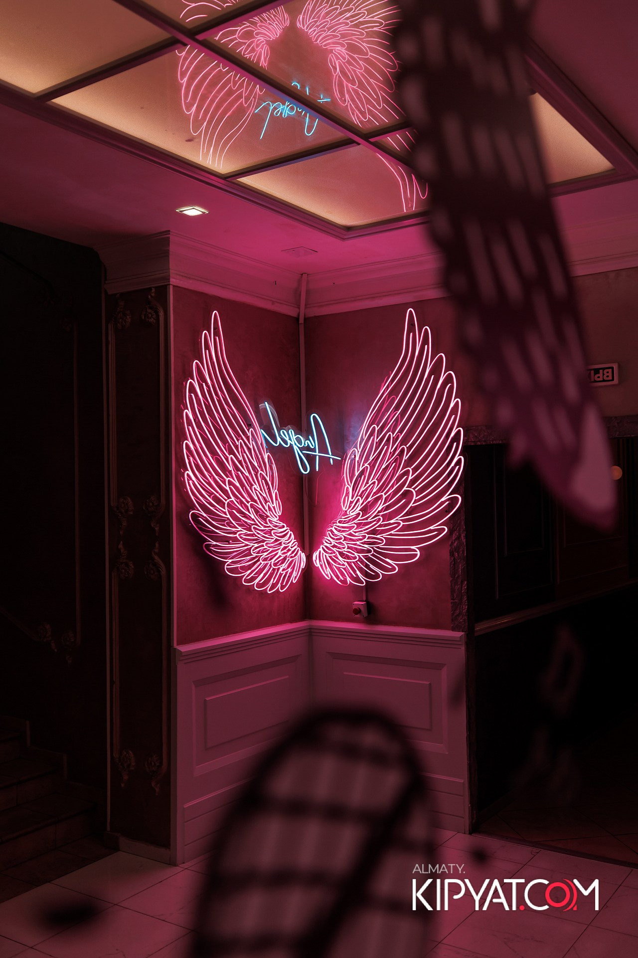 УХО И МЕДВЕДЬ НА КУРМАНГАЗЫ. КИПЯТКОМ АЛМАТЫ!