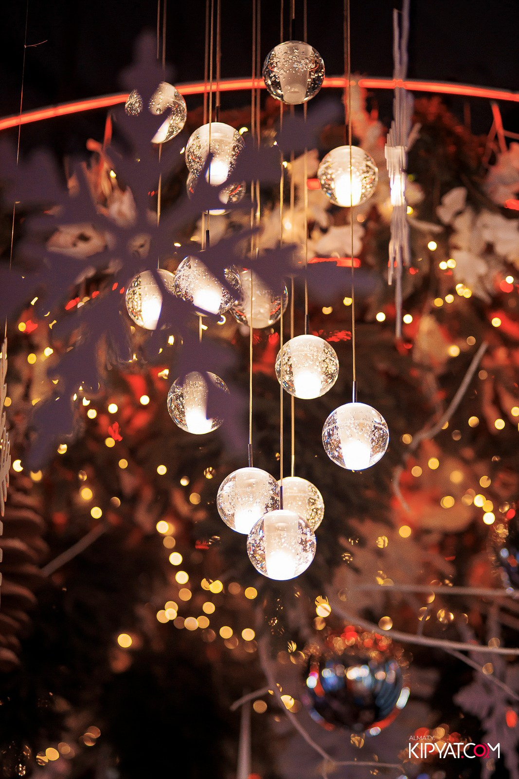 FRIENDS BAR & TERRACE. КИПЯТКОМ АЛМАТЫ! Фотосъемка мероприятий в Алматы