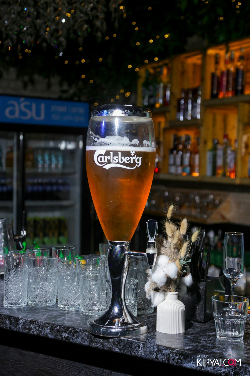 УХО И МЕДВЕДЬ НА САИНА. КИПЯТКОМ АЛМАТЫ!