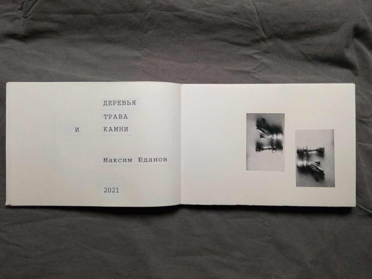 Максим Юданов | Деревья, трава и камни. Private image