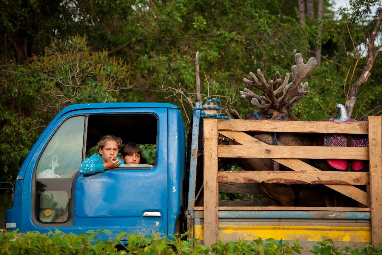 Singles. Evgeniya Kokurina