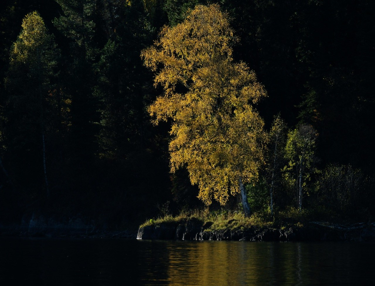 Алтай. Фотограф Евгений Андреев