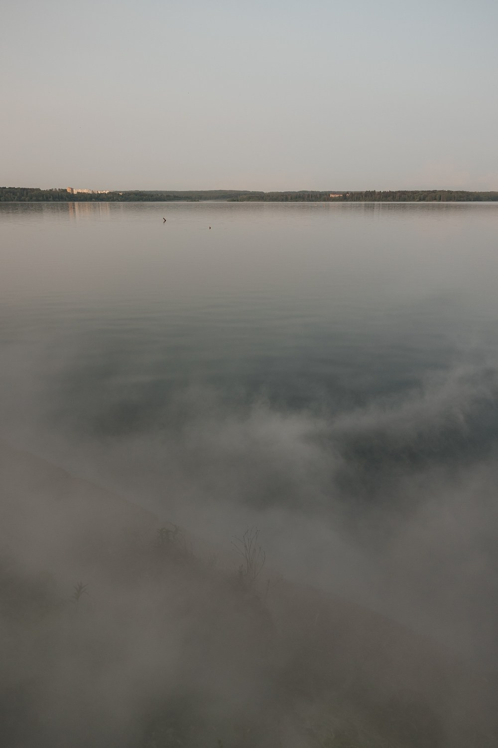 Oh, Wow!. Свадебный фотограф Москва