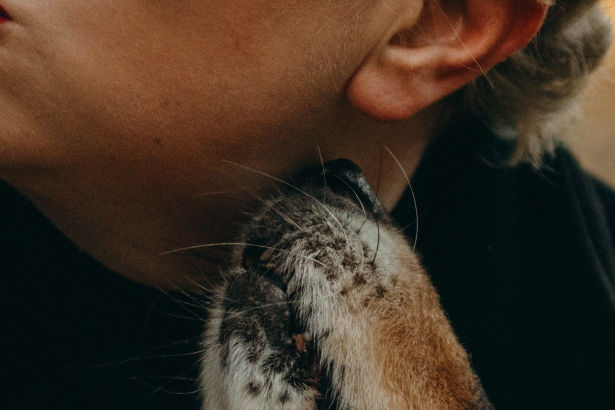 Ия и Барт. Фотограф — Анималист | Санкт-Петербург